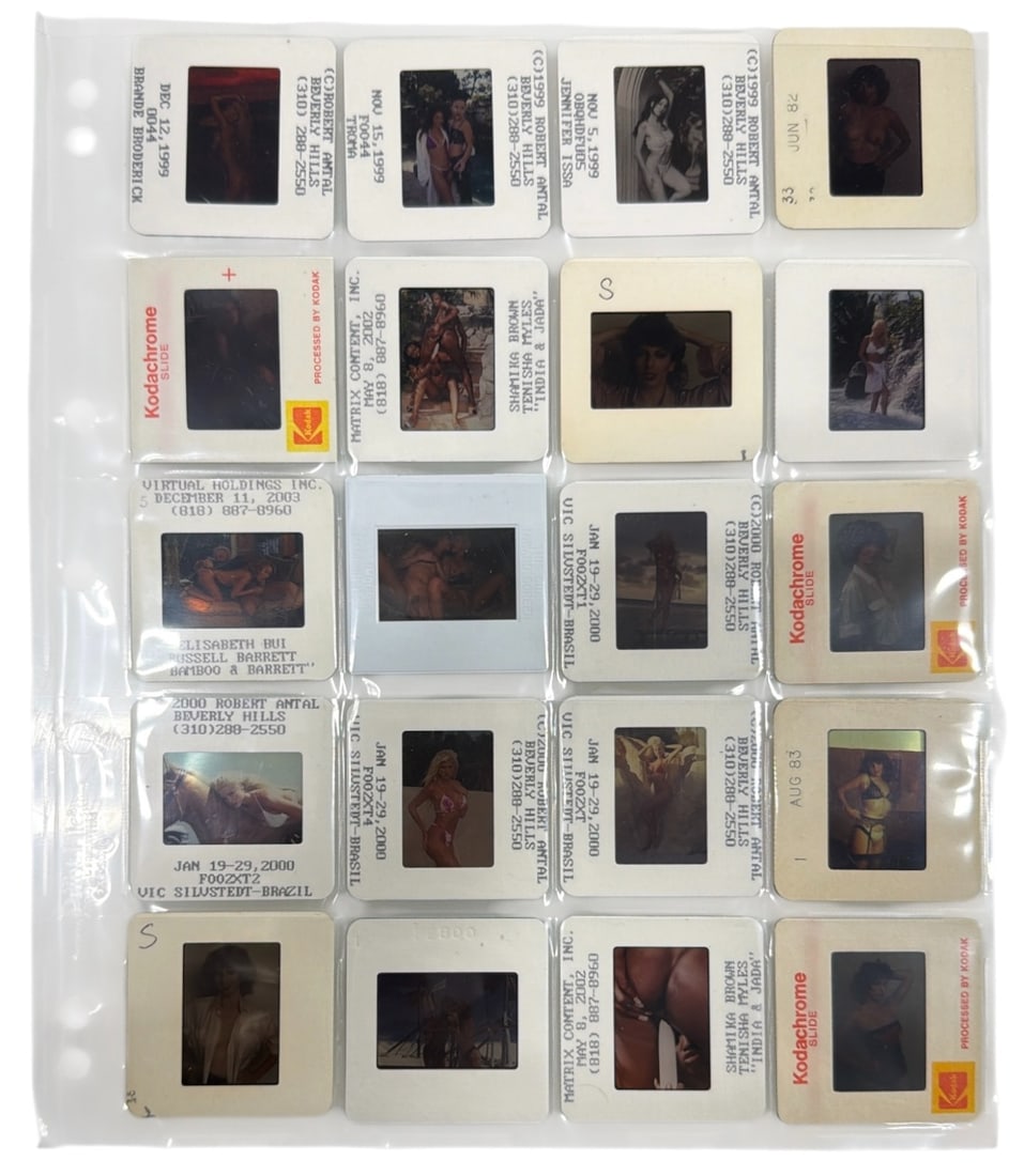 Photo Slide Collection: Photo Slide Collection