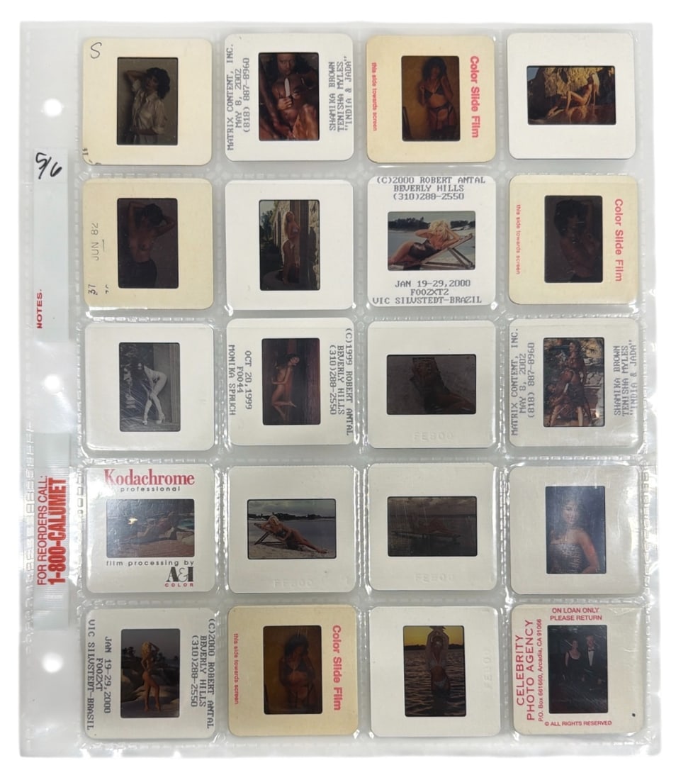 Photo Slide Collection: Photo Slide Collection