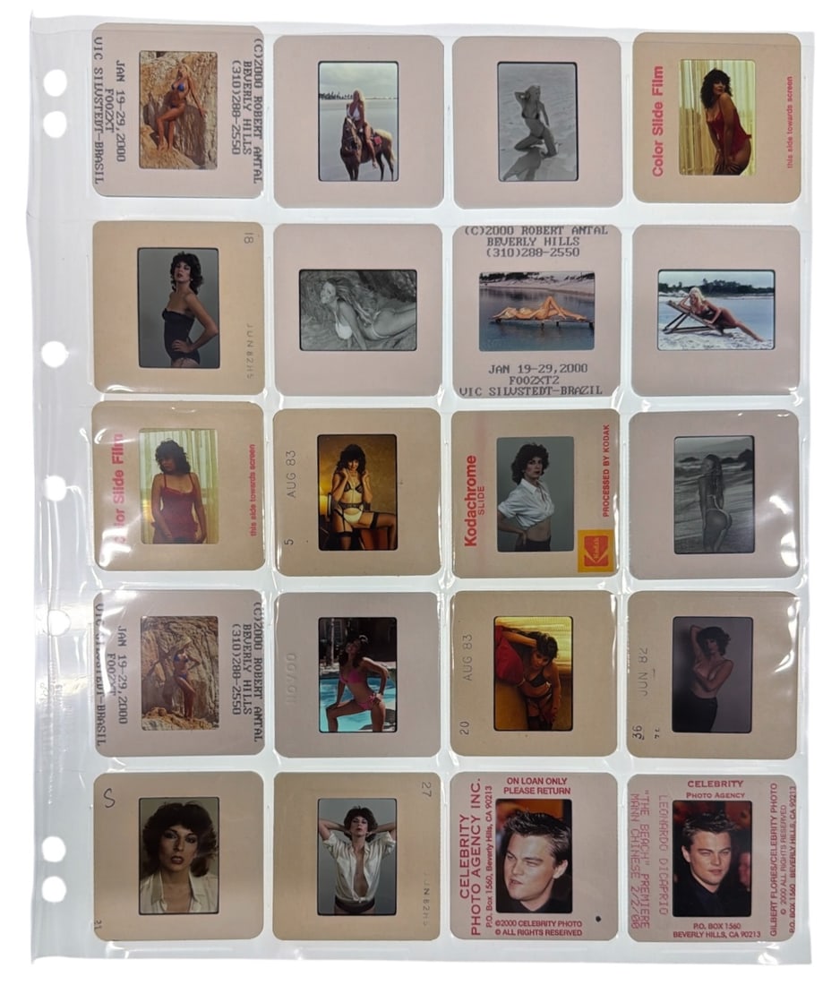 Photo Slide Collection: Photo Slide Collection