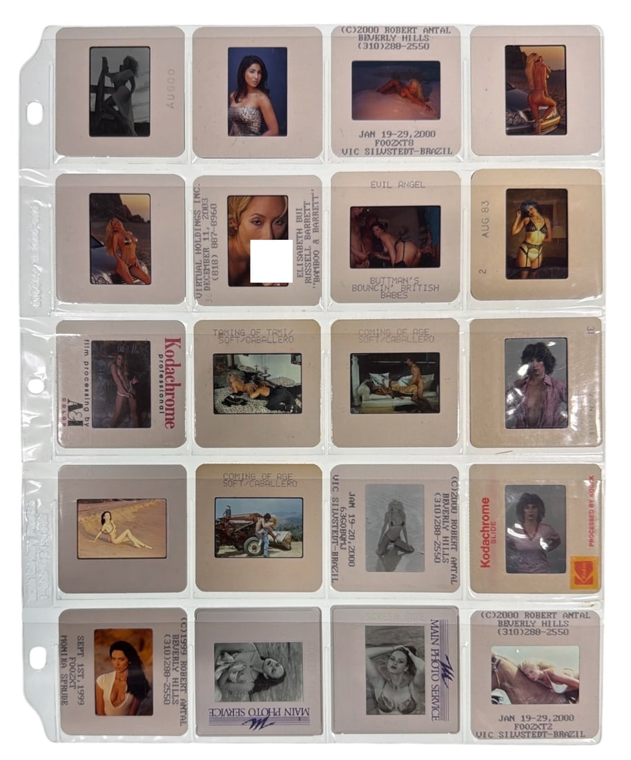 Photo Slide Collection: Photo Slide Collection