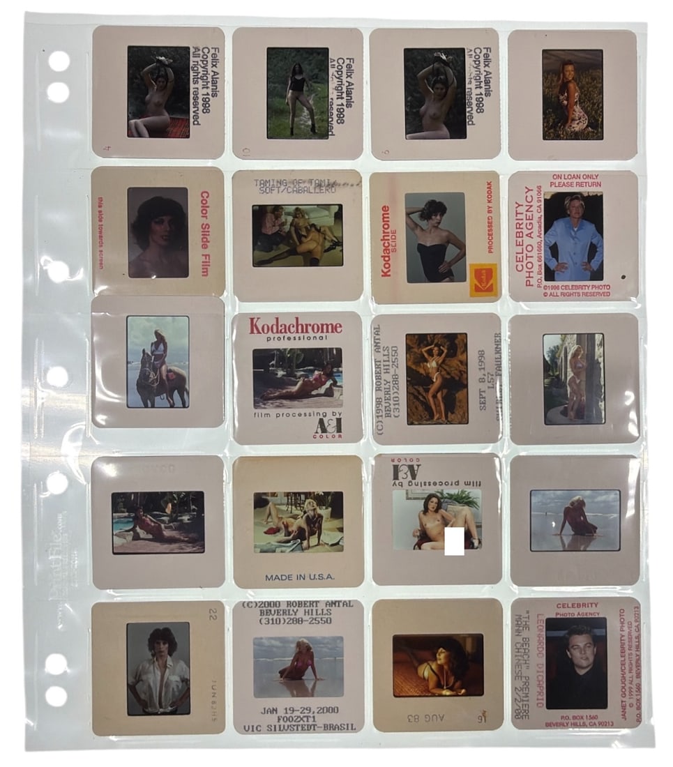 Photo Slide Collection: Photo Slide Collection