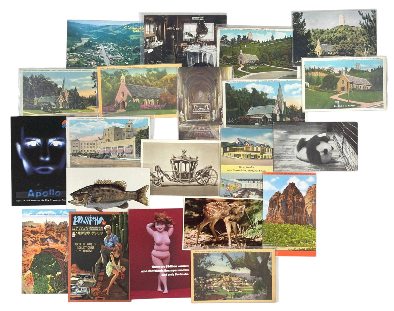 Vintage Postcard Collection: Vintage Postcard Collection
