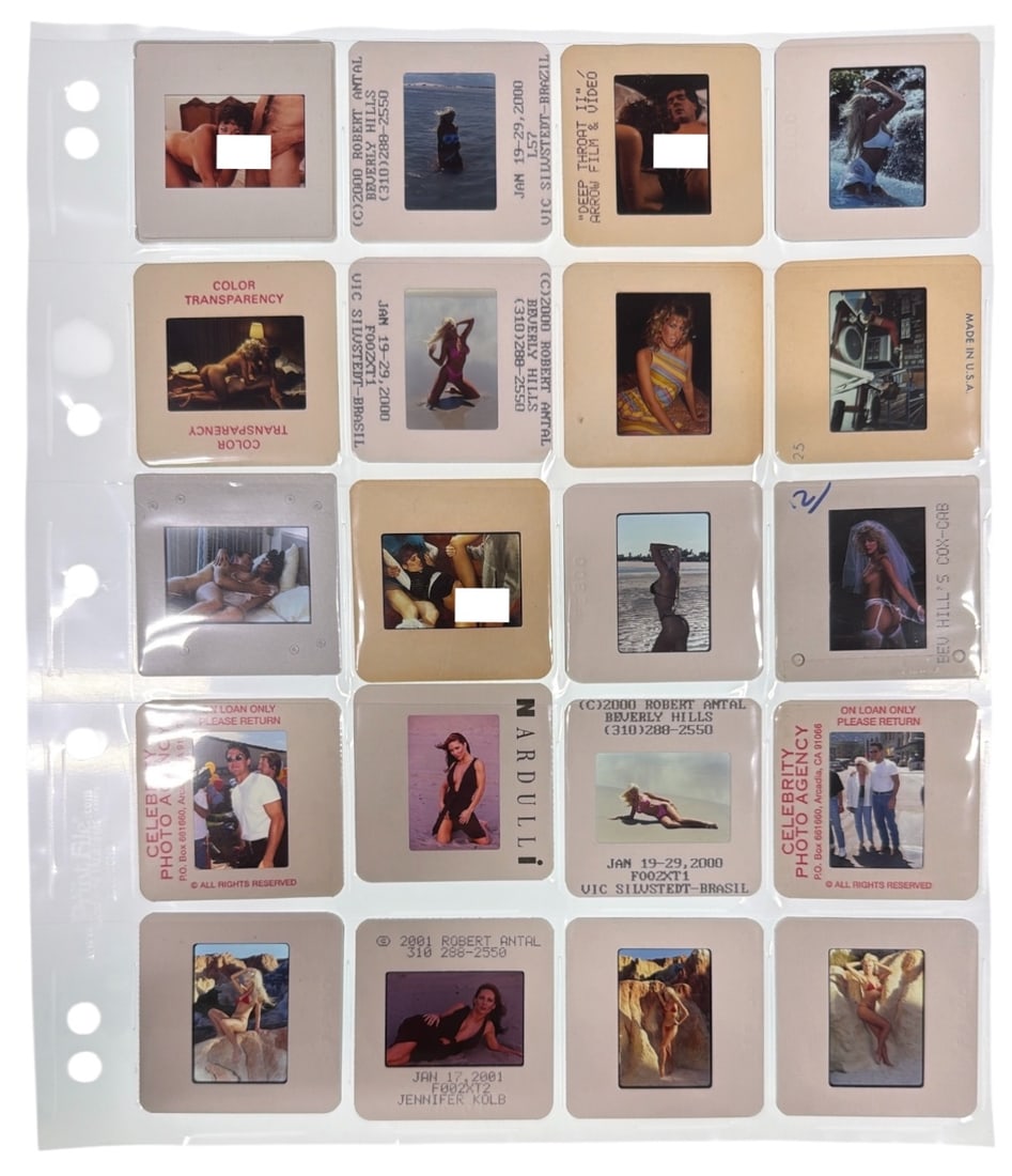 Photo Slide Collection: Photo Slide Collection