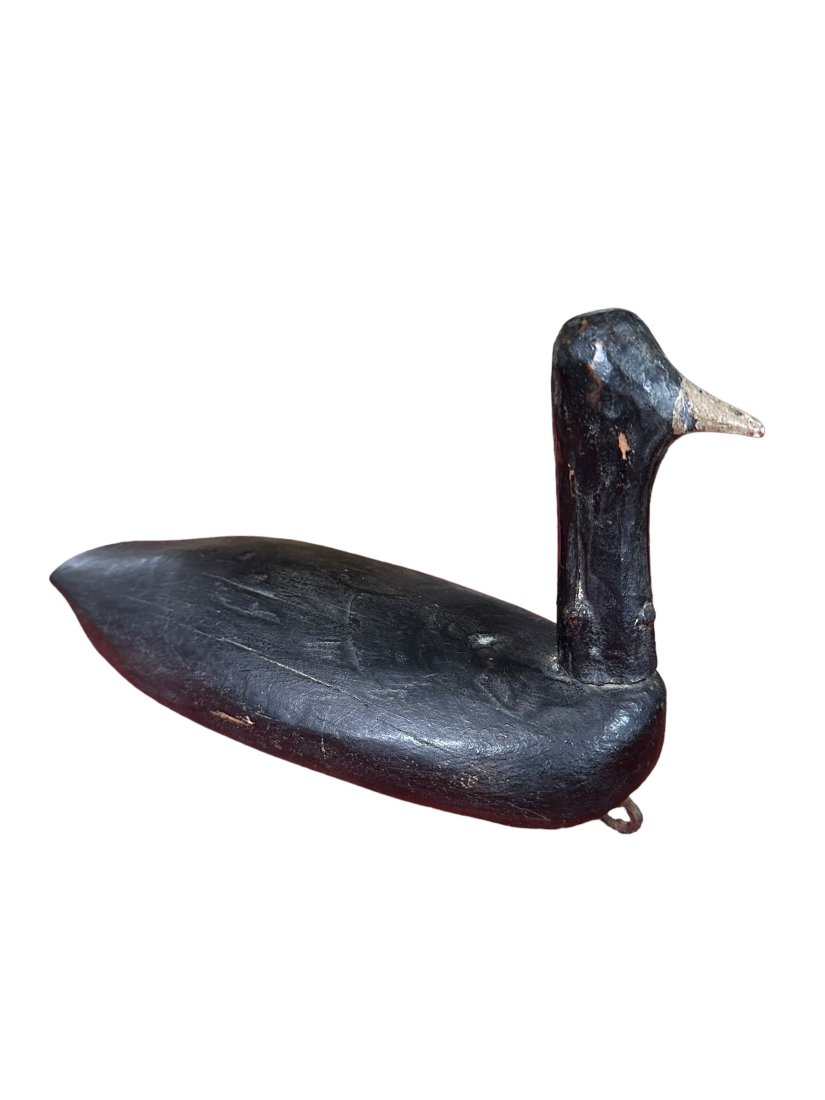 RARE "ROOT HEAD" COOT DUCK DECOY (1 of 2)