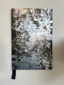 Contemporary Birch Bark Abstraction Art