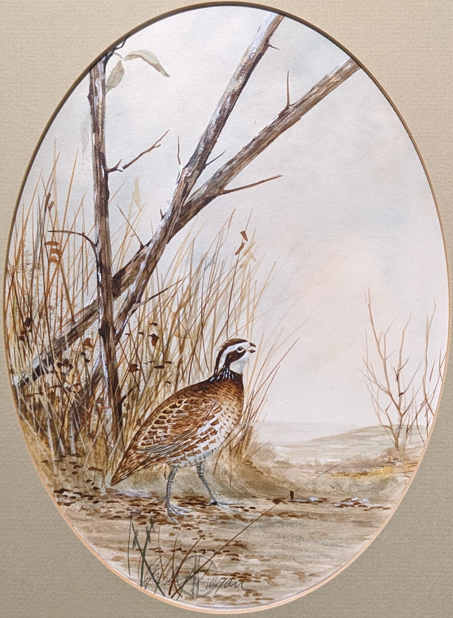 Gilbert Duran, Watercolor "Lone Quail" (1 of 4)