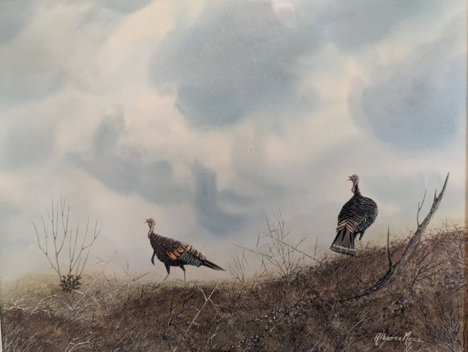 Alberto Meza, Watercolor "Turkeys": Alberto Meza, Watercolor "Turkeys". Sight: 5.75" x 7.75" Frame: 16.25" x 12.75" Alberto Meza, an artist from San Antonio, Texas, is known for his wildlife paintings. His work was shown throughout the 