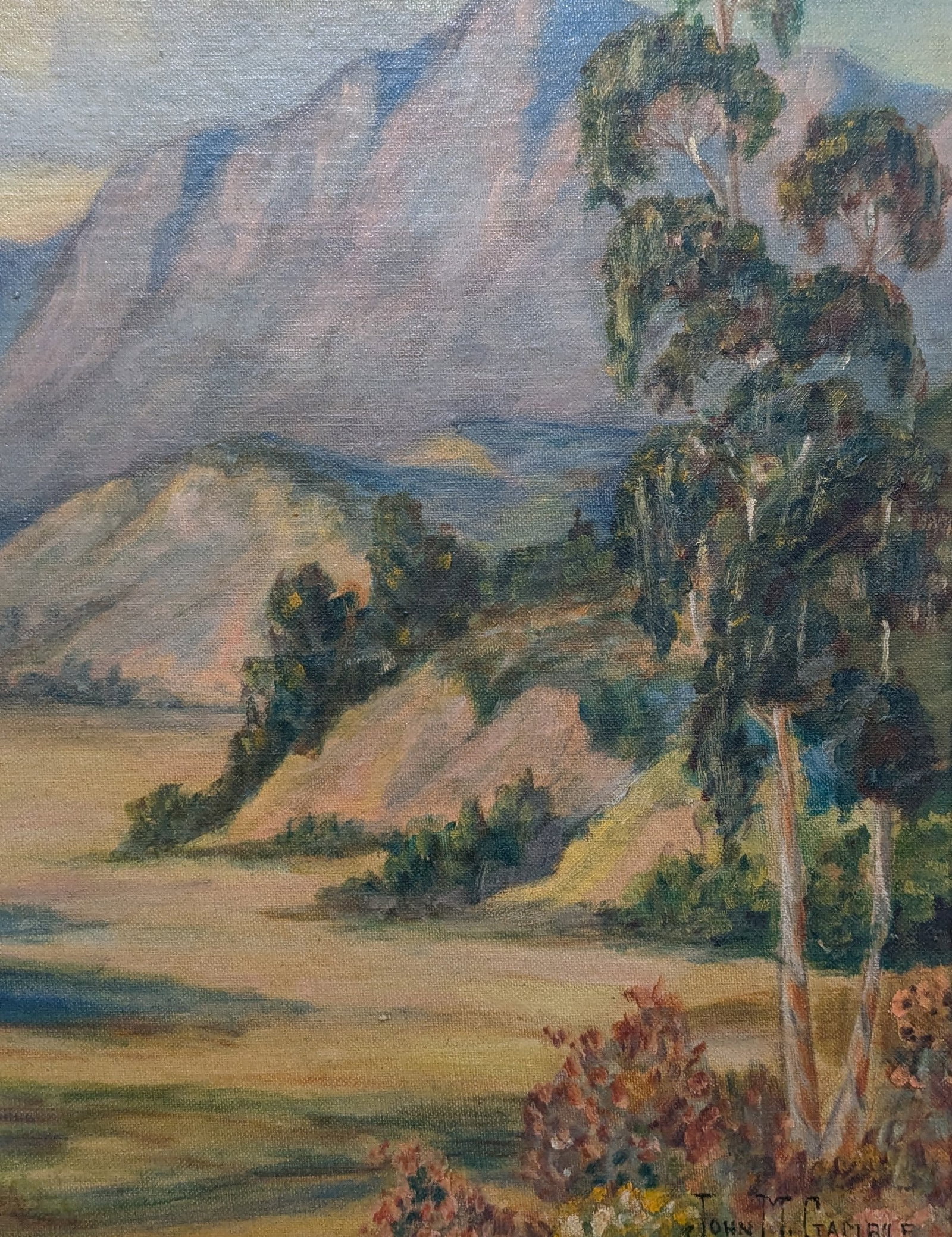John Marshall Gamble "Eucalyptus Trees & Santa Barbara Mtn." (1 of 4)