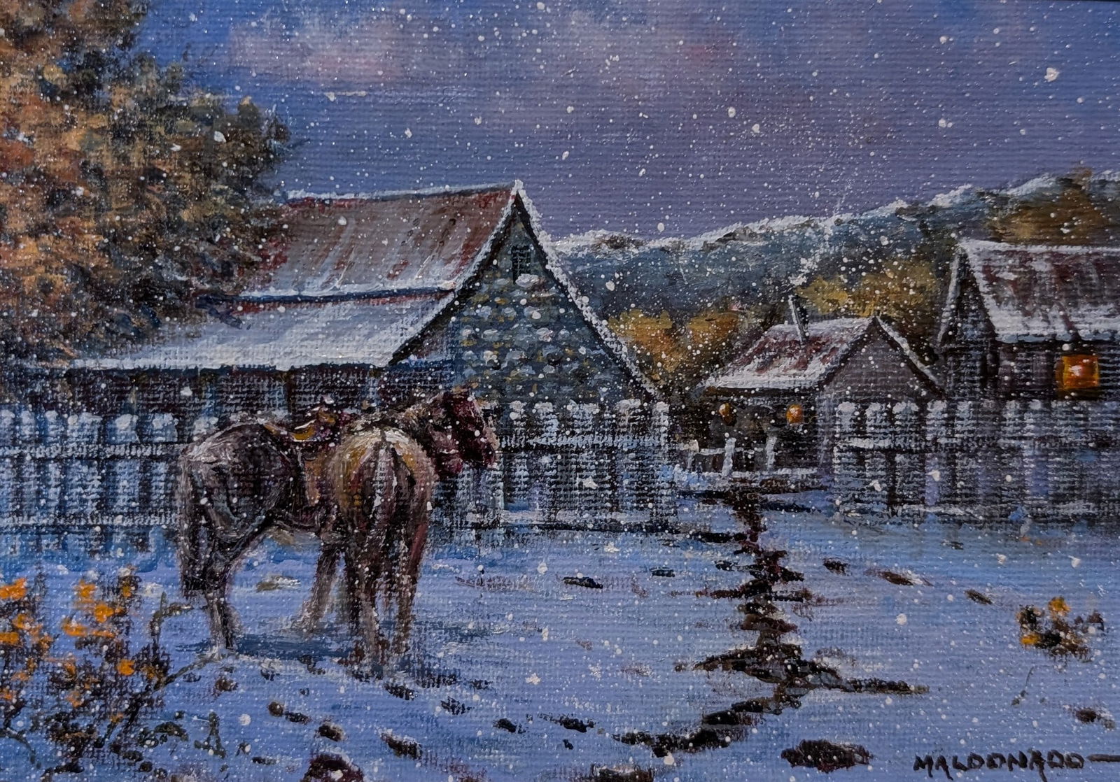 Daniel Maldonado Snowy Night (1 of 4)