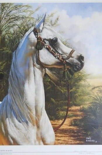 Vintage Mary Haggard Arabian Horse Daughter of Egypt Print: Vintage Mary Haggard Arabian Horse Daughter of Egypt Print, Print. 26.75" x 21.5" x 1" Vintage print of an Egyptian bred Arabian mare by Mary Haggard. Titled Daughter of Egypt, signed and numbered 180