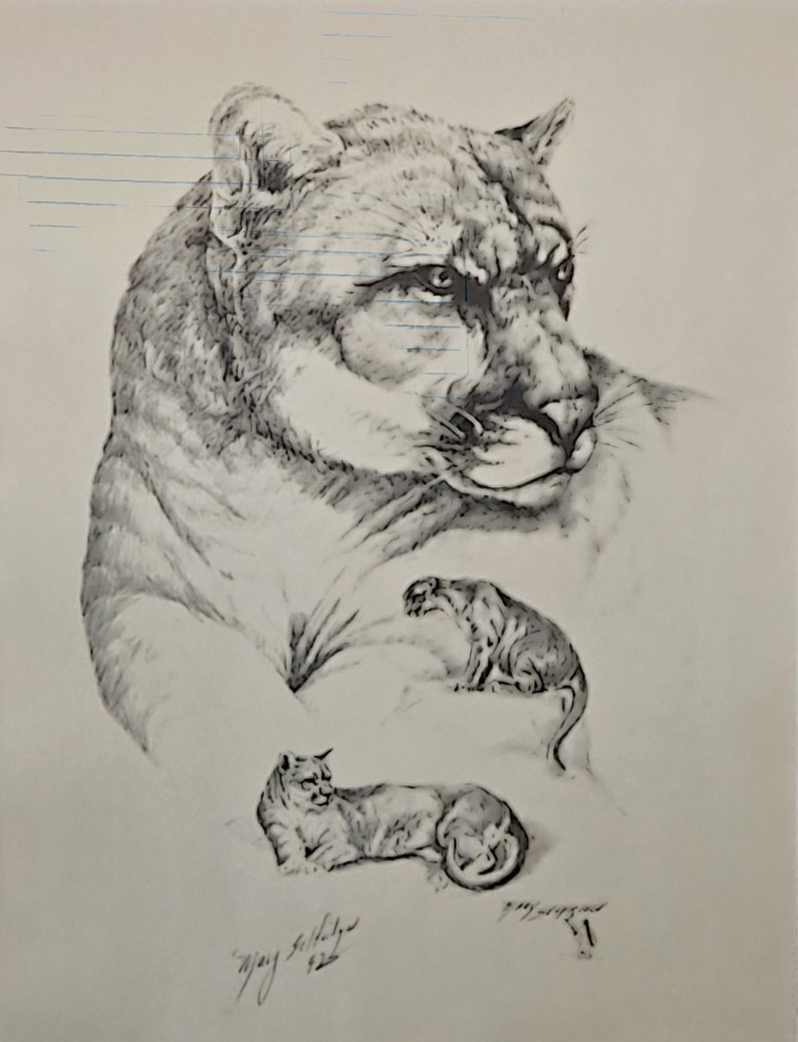Mountain Lion' by Mary Selfridge Hand-signed and dated Print: Mountain Lion' by Mary Selfridge Hand-signed and dated Print.Sight: 13.5" x 10.5"Frame: 23" x 19.25"Mary Selfridge was born and raised in Borger on the Texas panhandle. Soon after high school, Mary