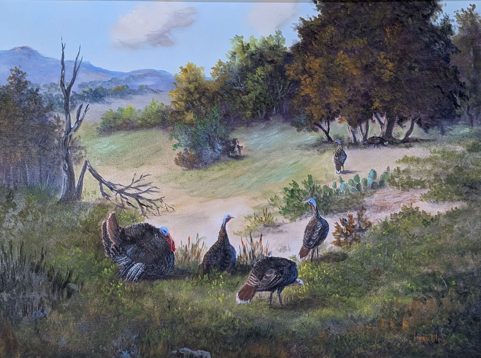 Irene Klein, "Turkeys" (1 of 4)