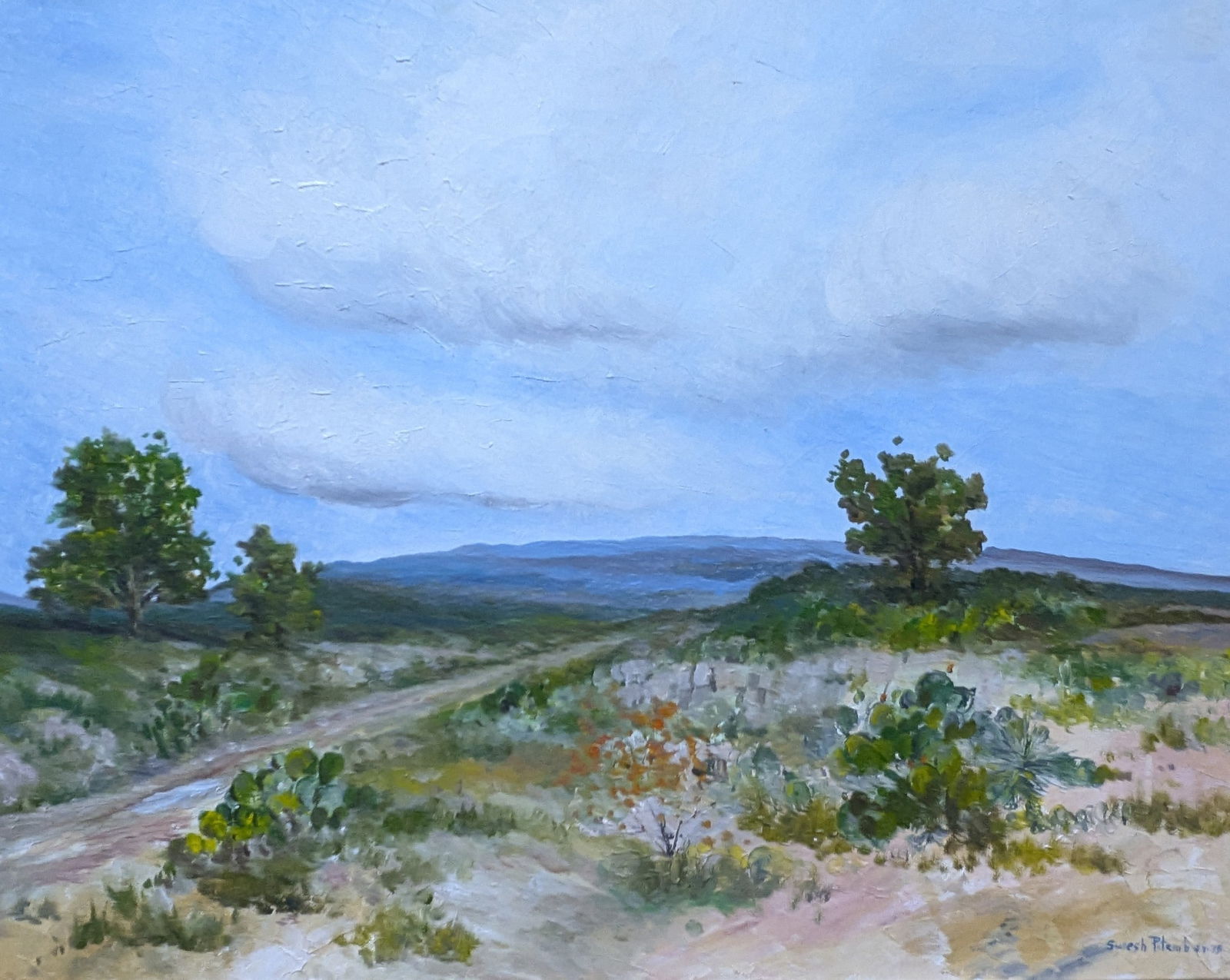 Suresh Pitamber, "West Texas Landscape" (1 of 5)