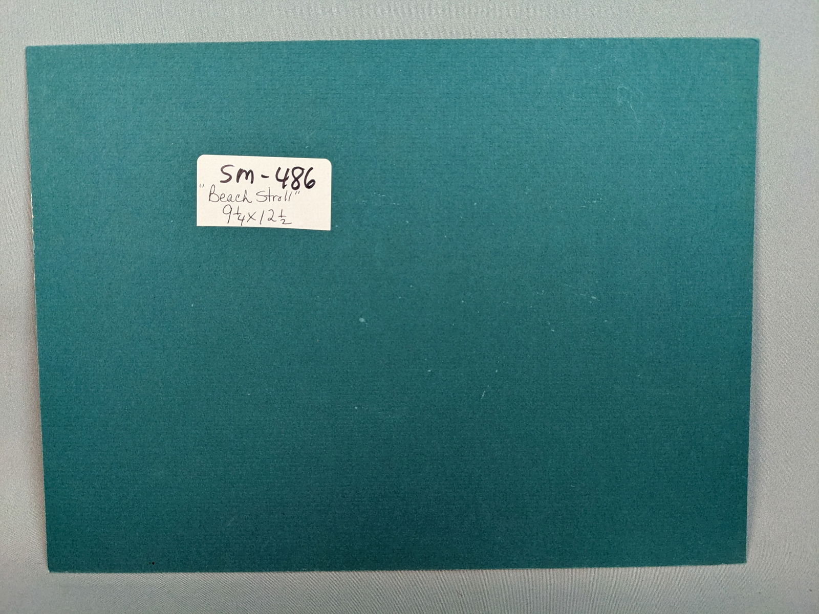 Simon Michael " Beach Stroll" - 4