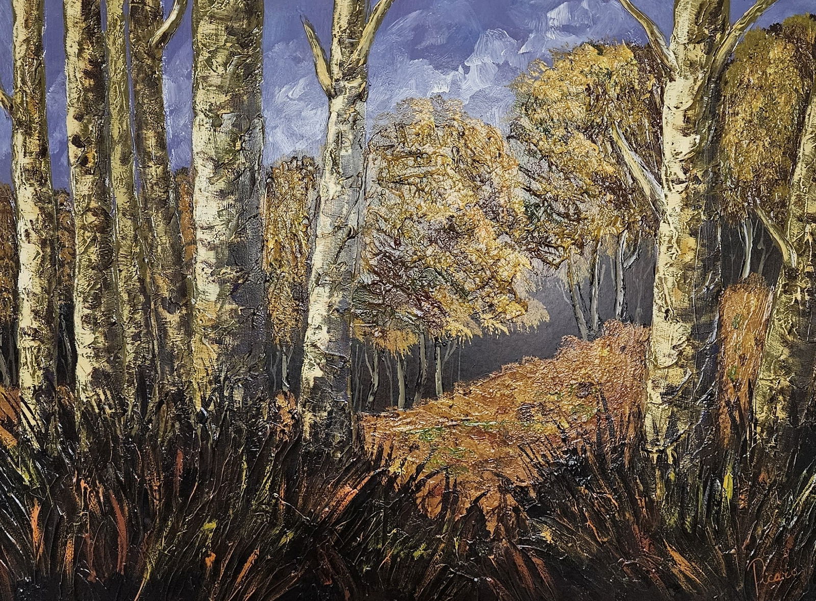 Colorado Aspens, Picaro: Colorado Aspens, Picaro, oil on canvas.Sight: 29.5" x 39.25"Frame: 36" x 46"In-house shipping is available for smaller items. Shipping is available for larger and other fragile items through Pac