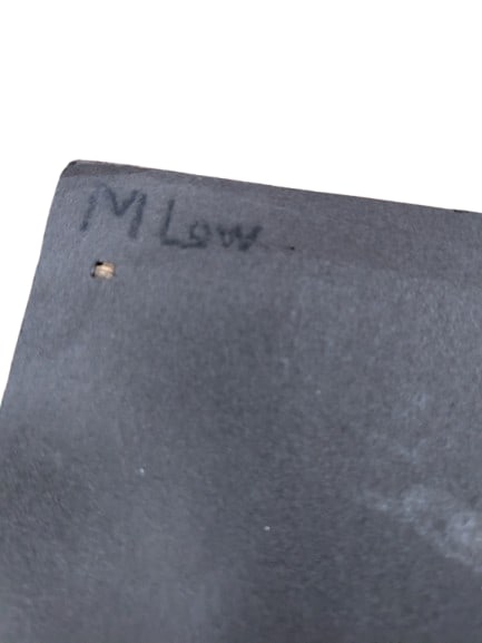 M. Low, Conch Shells - 4