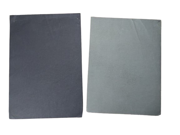 M. Low, Conch Shells - 6