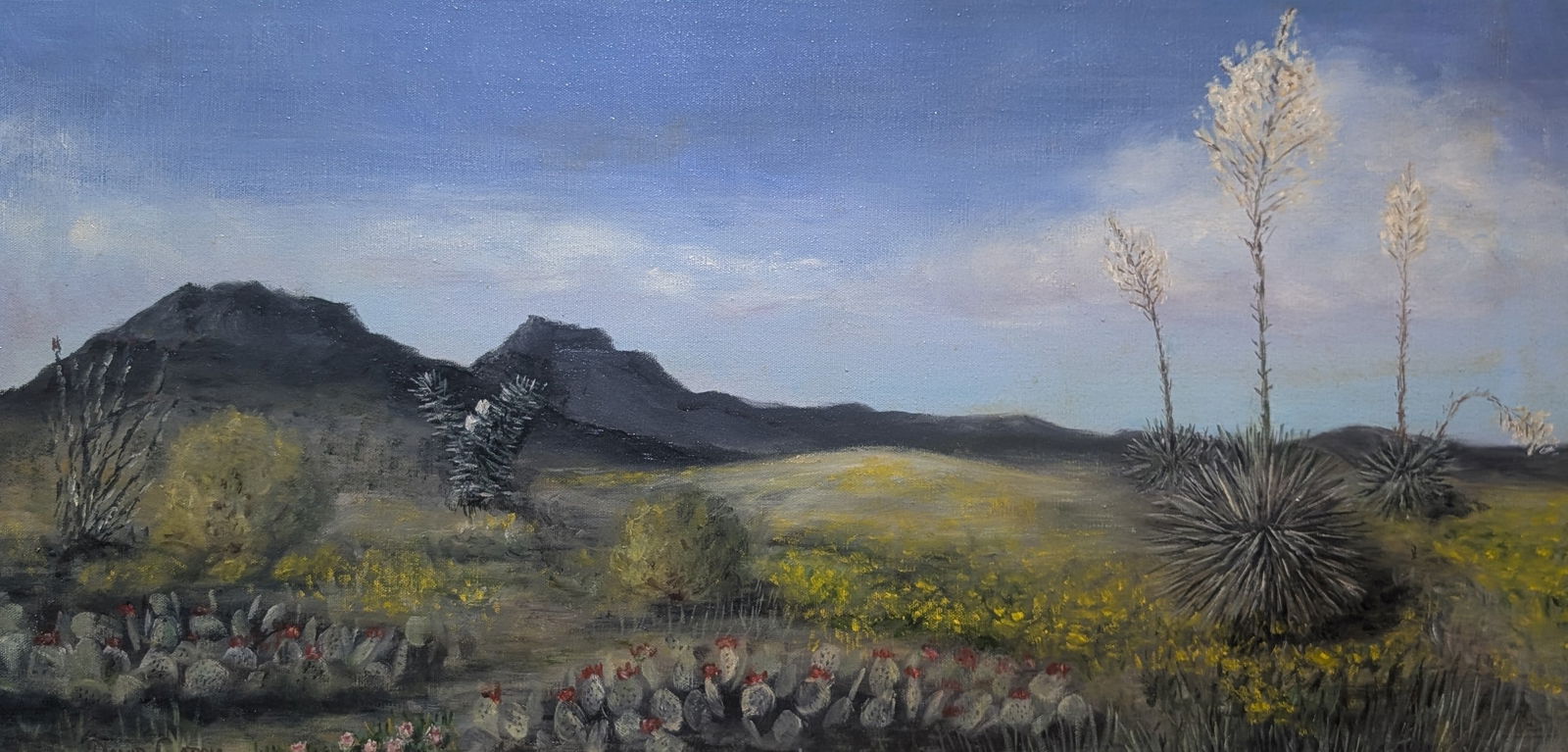 David Caton (1 of 4)