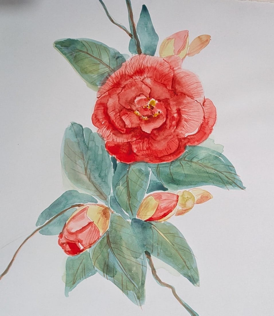 Assorted Watercolors - 2