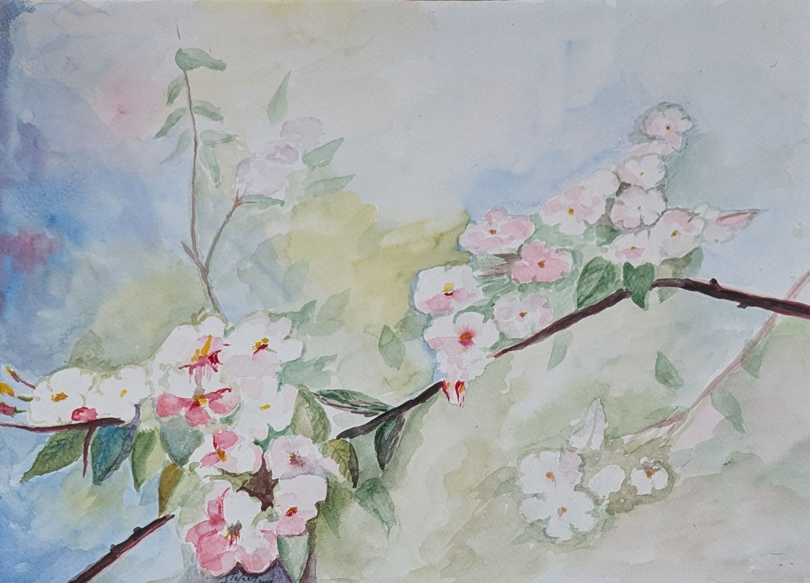 Assorted Watercolors - 3