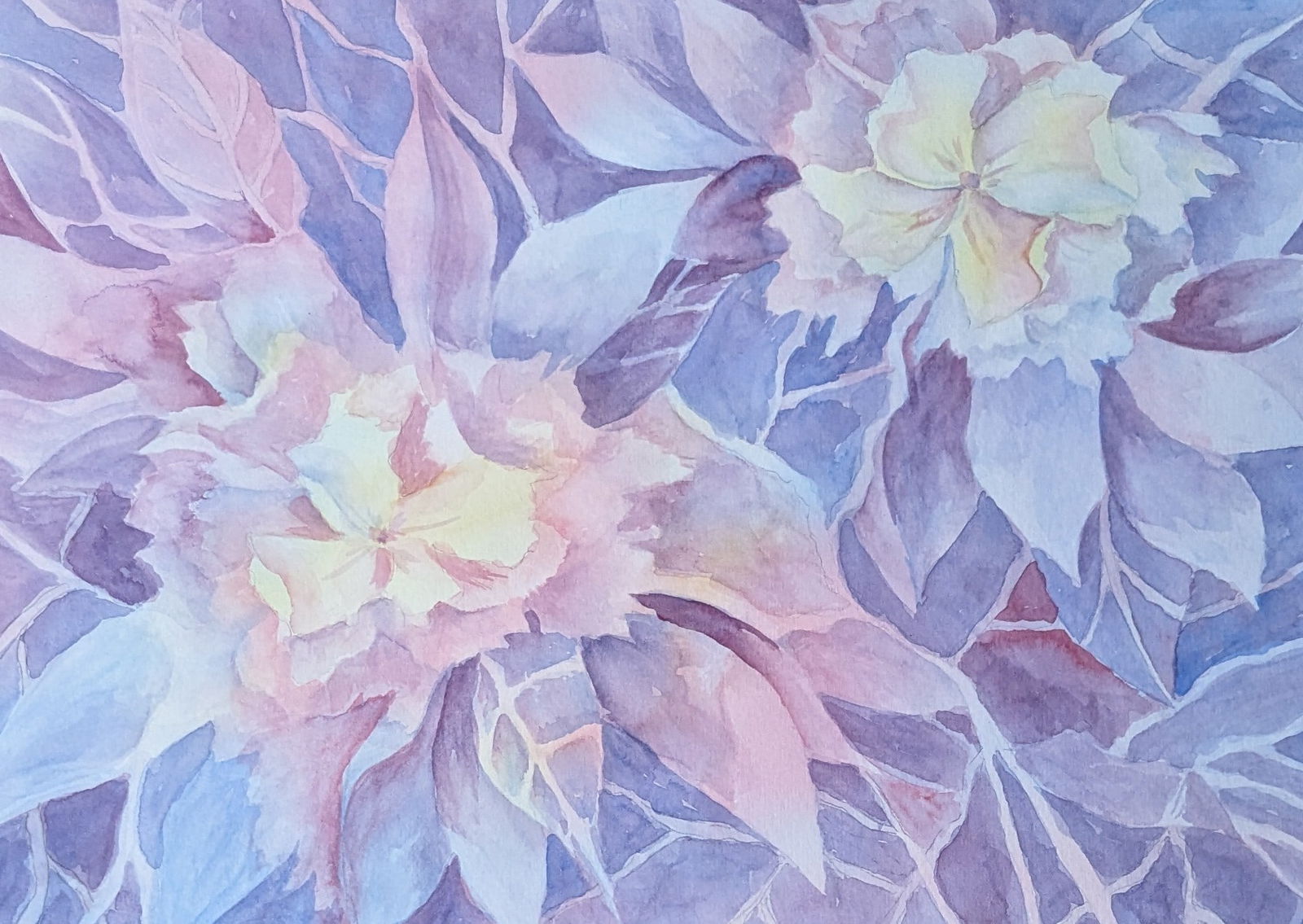 Assorted Watercolors - 4