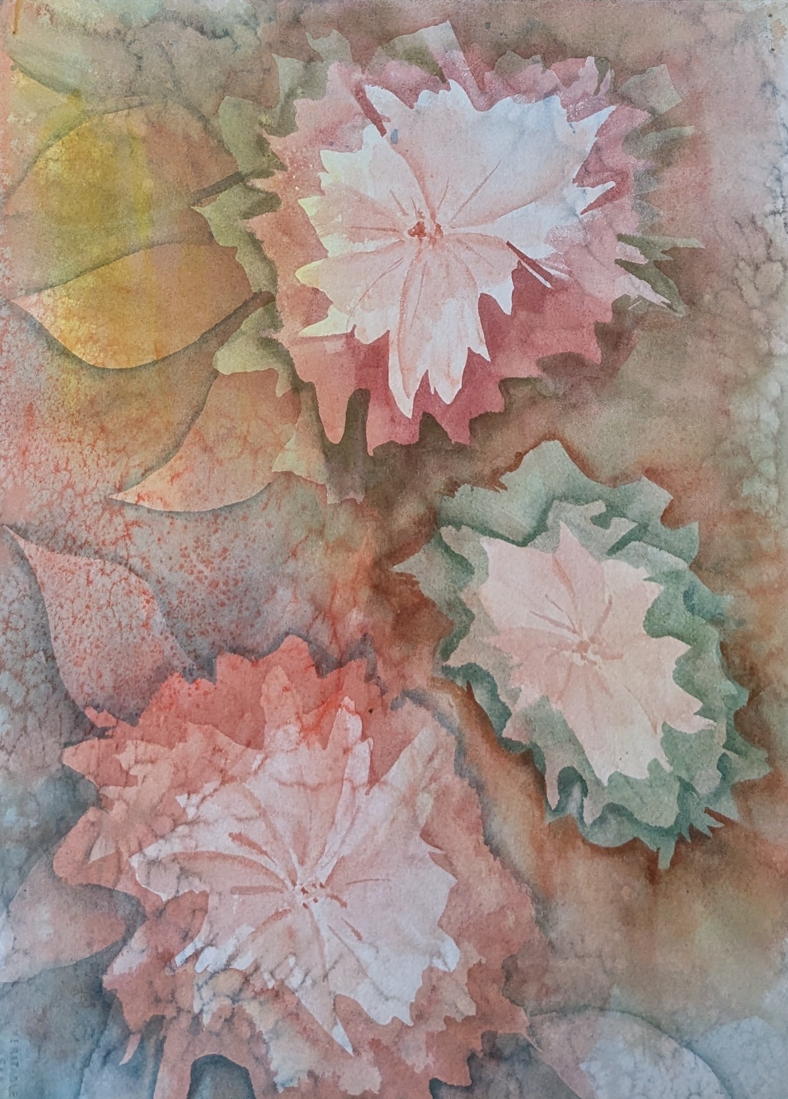 Assorted Watercolors - 6