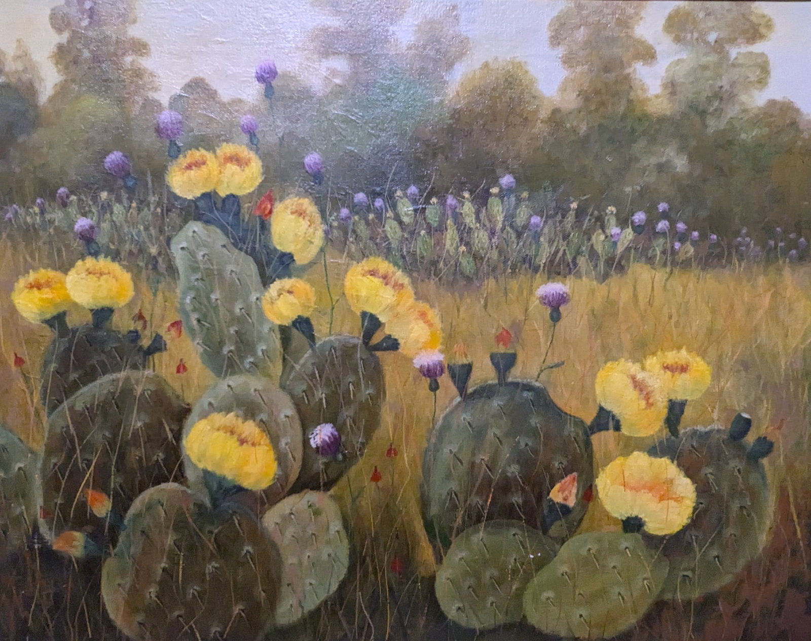 Mary L. Bruce, Cactus Flowers: Mary L. Bruce, Cactus Flowers, oil on canvas. Sight: 15.75" x 19.75" Frame: 23.25" x 27.25" In-house shipping is available for smaller items. Shipping is available for larger and other fragile items