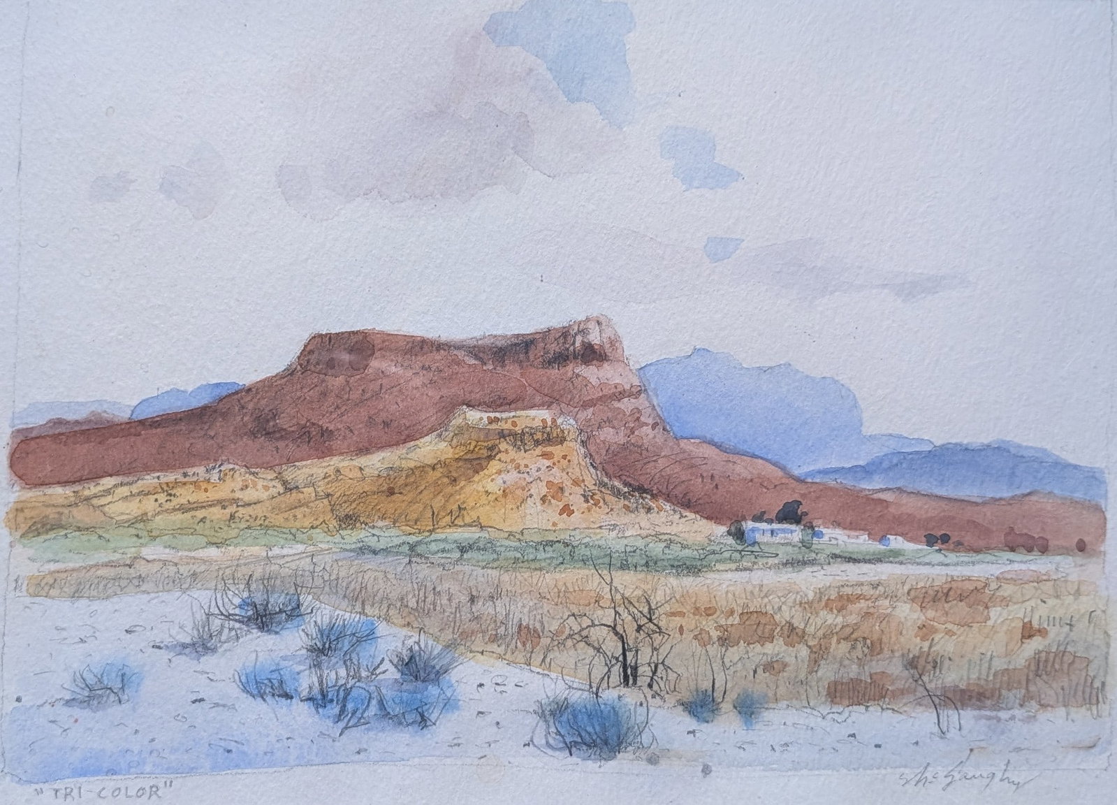 Clay McGauphy, "Tri- Color": Clay McGauphy, "Tri- Color", watercolor. Sight: 6.25" x 11" Frame: 14" x 17" In-house shipping is available for smaller items. Shipping is available for larger and other fragile items through Pac