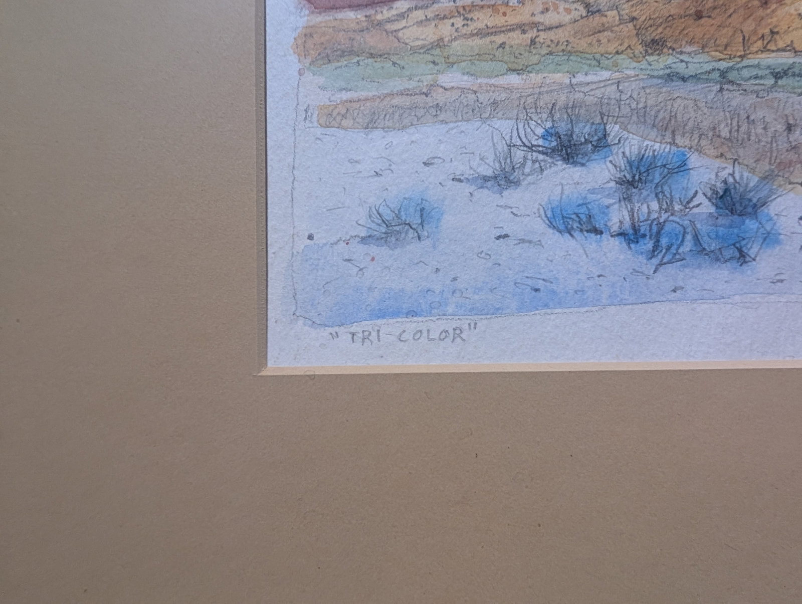 Clay McGauphy, "Tri- Color" - 3