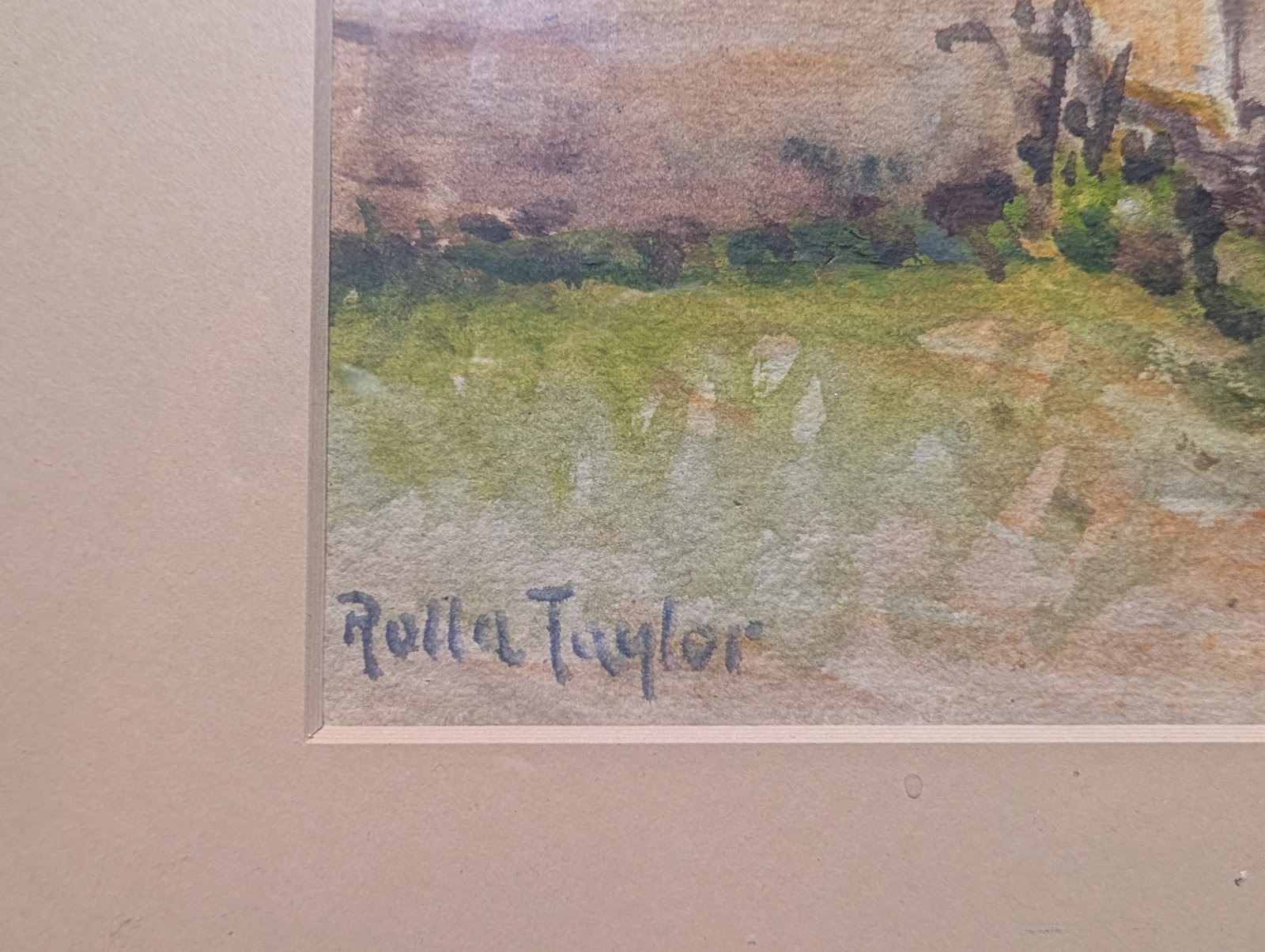 Rolla "Sims" Taylor, Study - 3