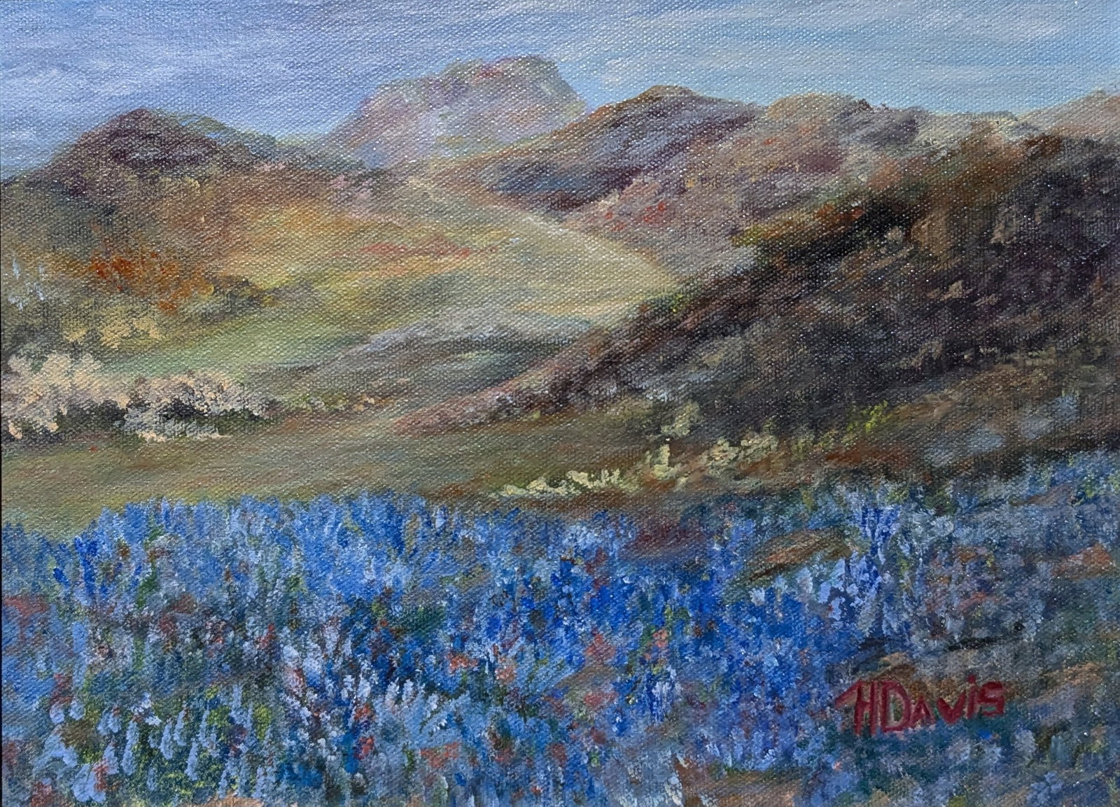 Helen Davis, "Bonnets of Blue": Helen Davis, "Bonnets of Blue", oil on canvas. Sight: 8.75" x 11.75" Frame: 16" x 19" In-house shipping is available for smaller items. Shipping is available for larger and other fragile items