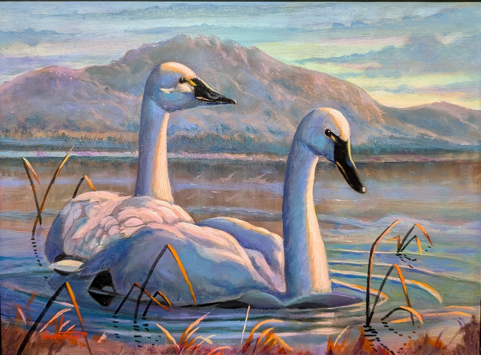 David Swantner, "Tundra Swans": David Swantner, "Tundra Swans", oil on board. Sight: 8.75" x 11.5" Frame: 13.25" x 16" David Swantner was raised on the Gulf Coast in South Texas. He began drawing at age 4 and painting at 8. His youn