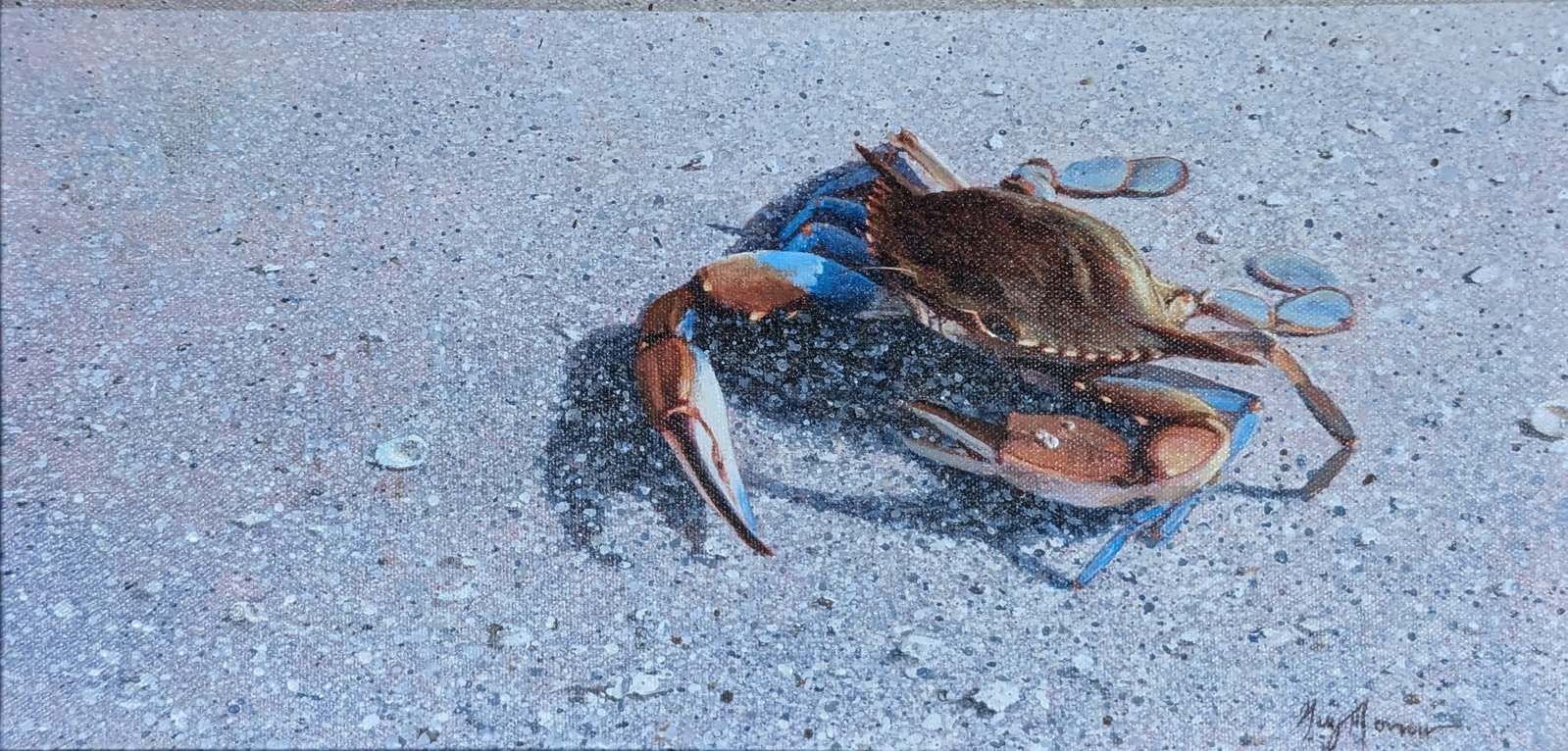 Guy Morrow, "Blue Crab" (1 of 3)