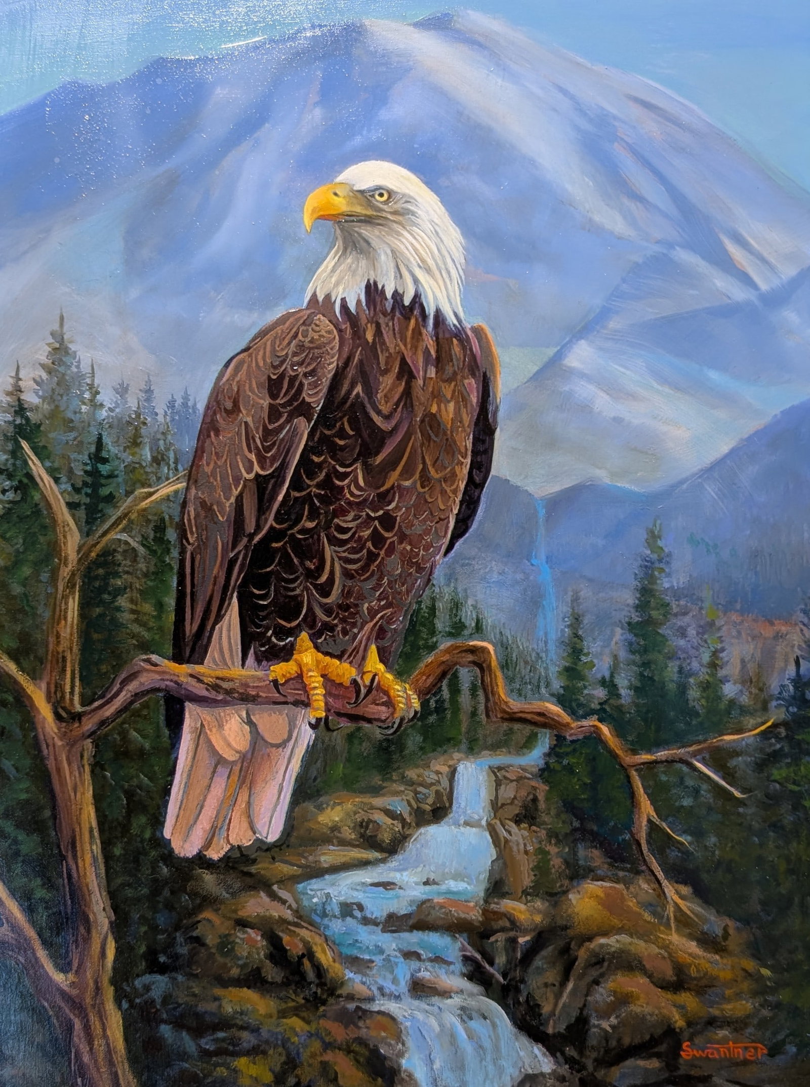 David Swantner, "American Bald Eagle": David Swantner, "American Bald Eagle". Sight: 15.75" x 11.75" Frame: 22" x 18" David Swantner was raised on the Gulf Coast in South Texas. He began drawing at age 4 and painting at 8. His younger year