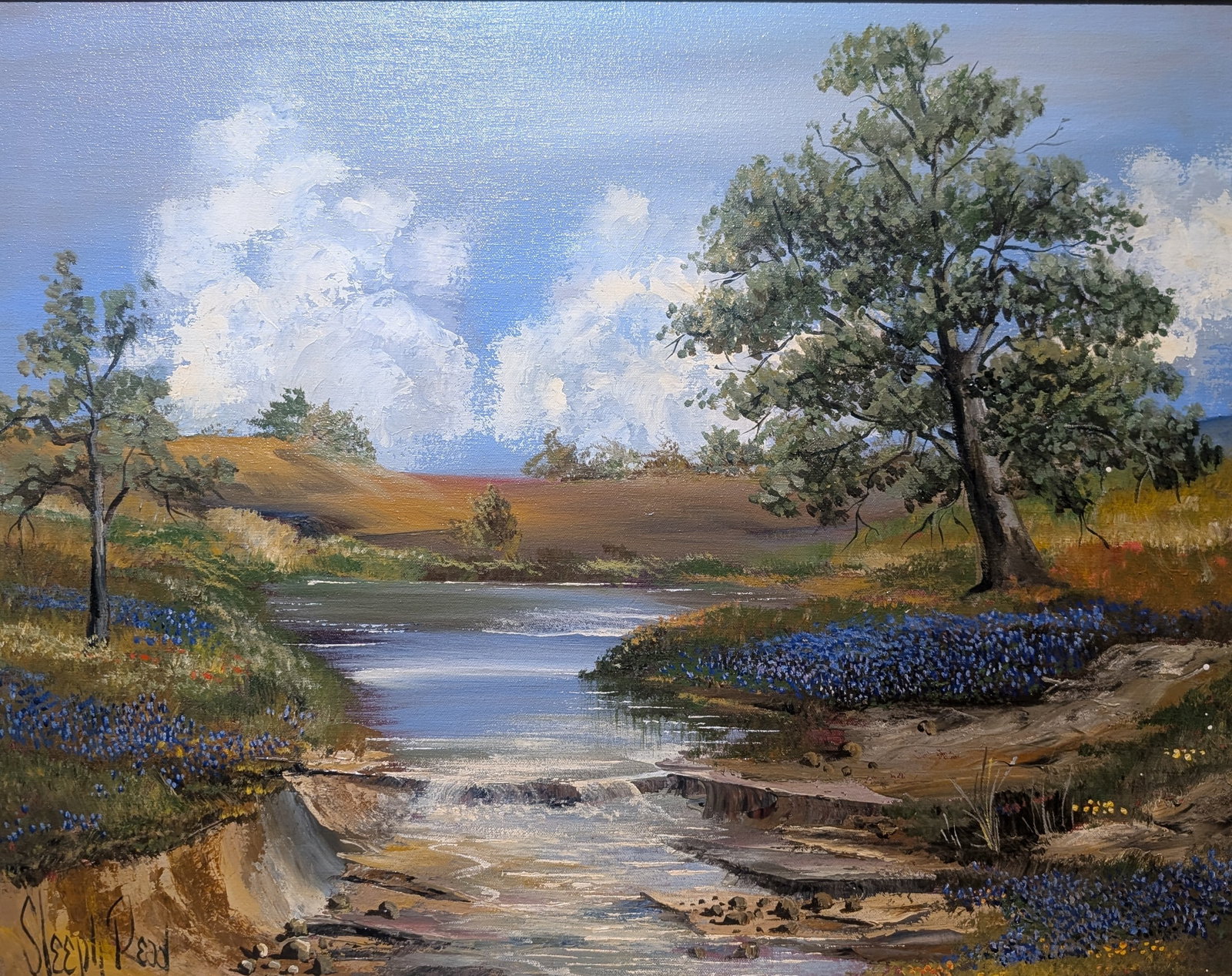 Sleepy Read, Bluebonnets and River Landscape (1 of 5)