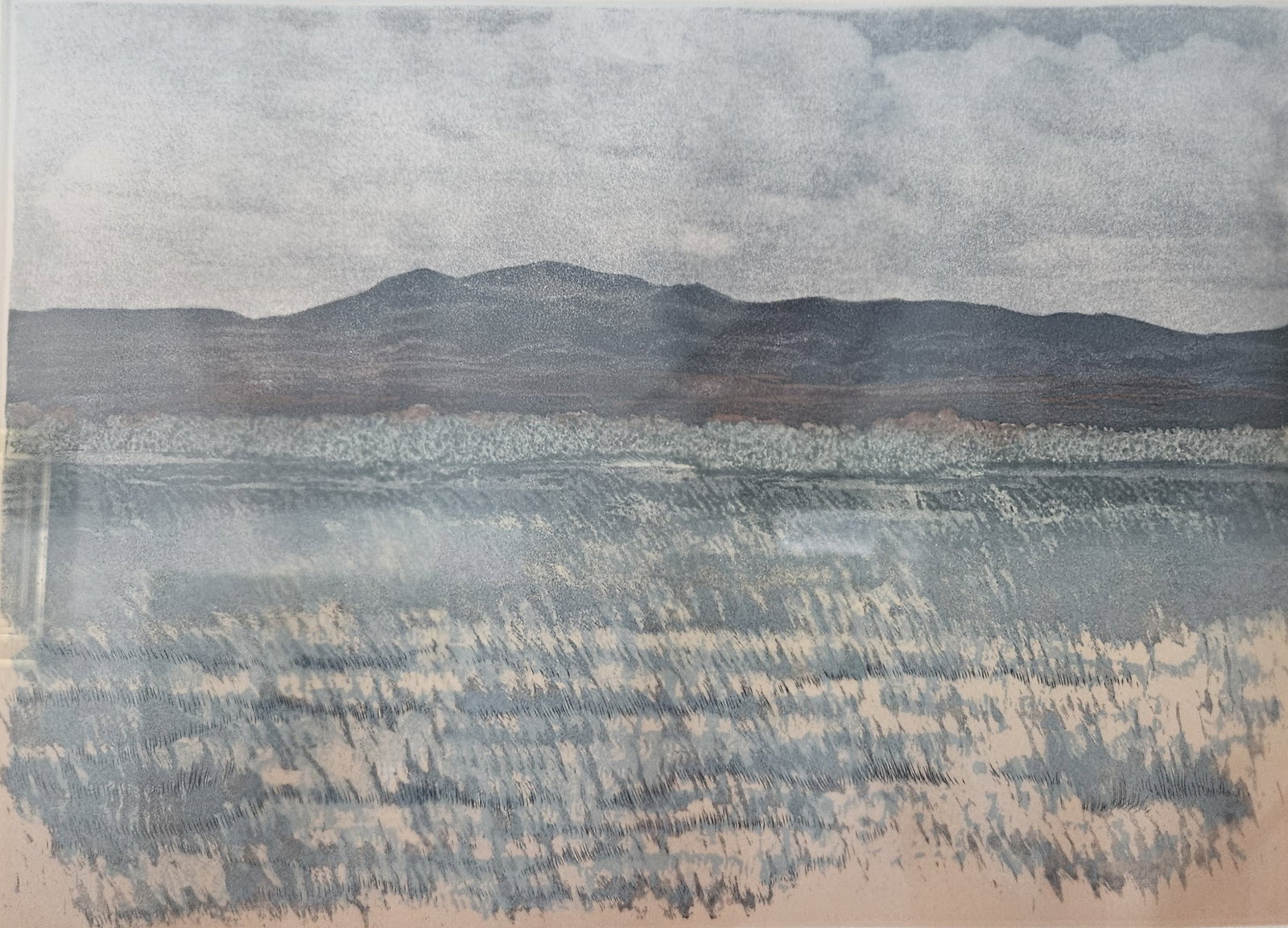 Limited Edition Etching "Mountain Sage' by Jack Willis: Limited Edition Etching "Mountain Sage' by Jack Willis , Etching. Sight: 10.25" x 14.5" Frame: 18.75" x 22.75" #75 of 200 In-house shipping is available for smaller items. Shipping is available for la