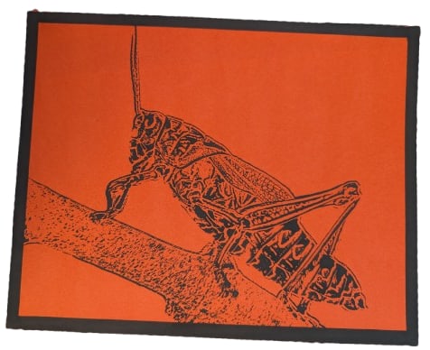Grasshopper - 2