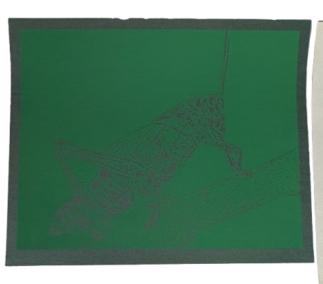 Grasshopper - 3