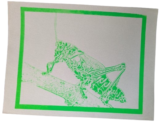 Grasshopper - 4