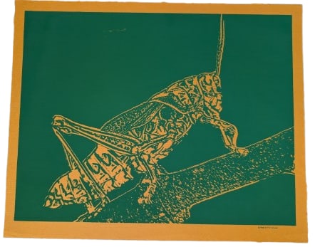 Grasshopper - 5