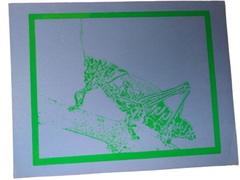 Grasshopper - 6