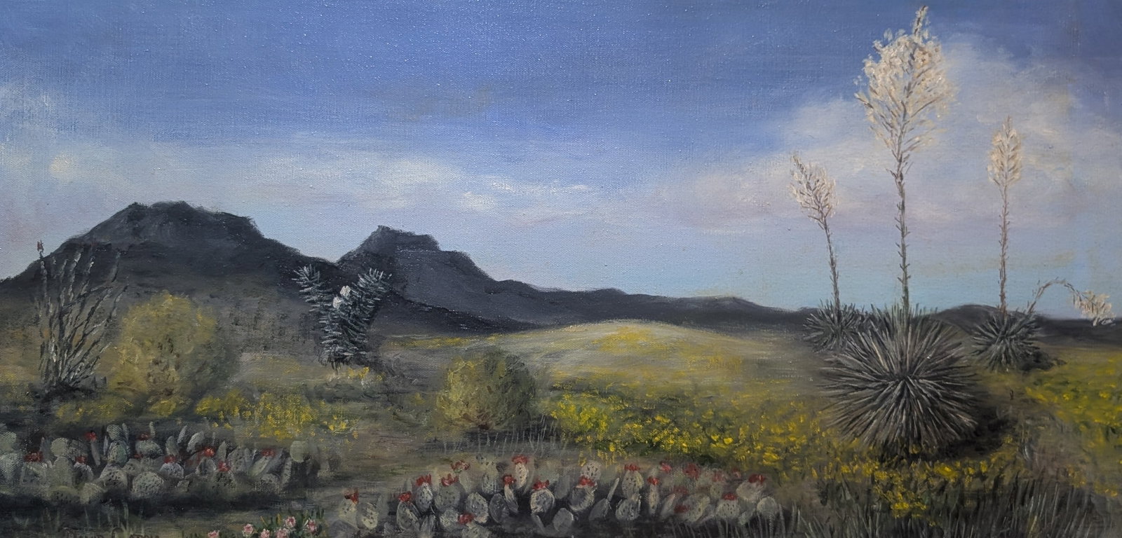 David Caton: David Caton, oil on canvas. Sight: 14.75" x 29.75" Frame: 23.75" x 38" DAVID CATON (b. 1955)David Caton is a painter whose work spans three decades of exploring landscape, still life, architectural,