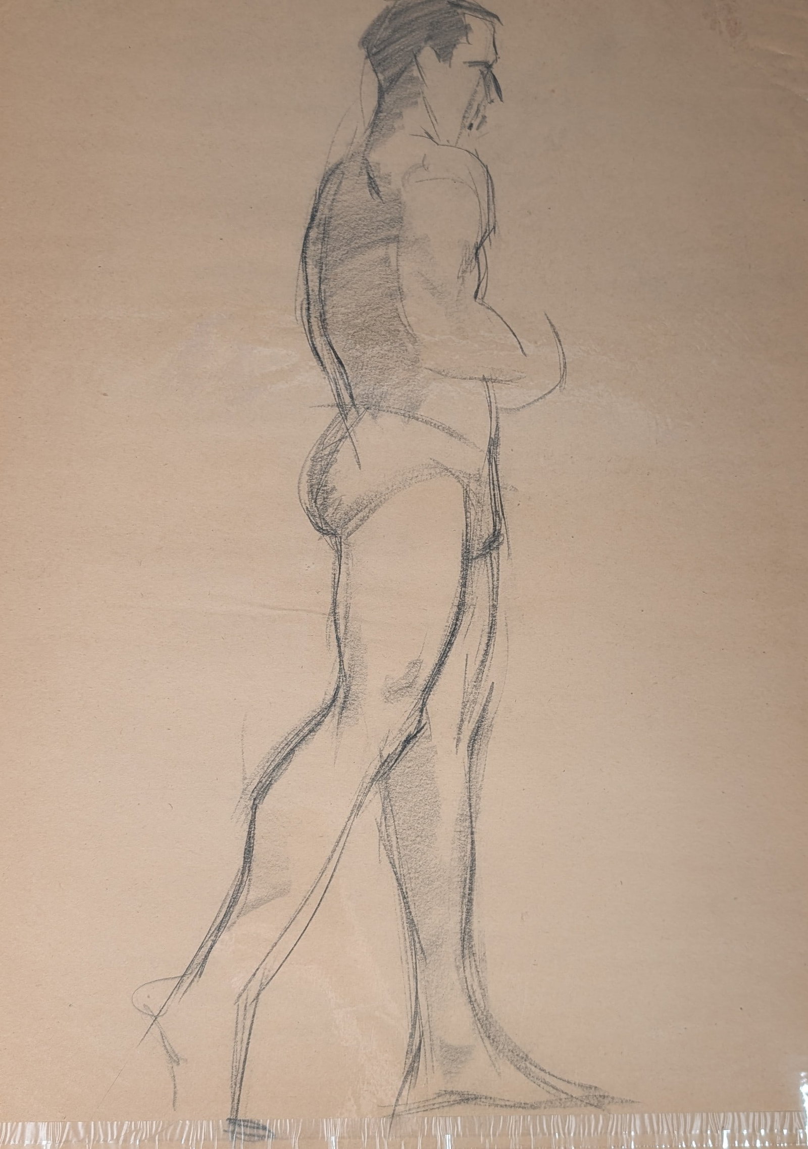 1950 Male Study: 1950 Male Study, Sketch. In-house shipping is available for smaller items. Shipping is available for larger and other fragile items through Pac Mail, which is a local shipping option. You may also opt