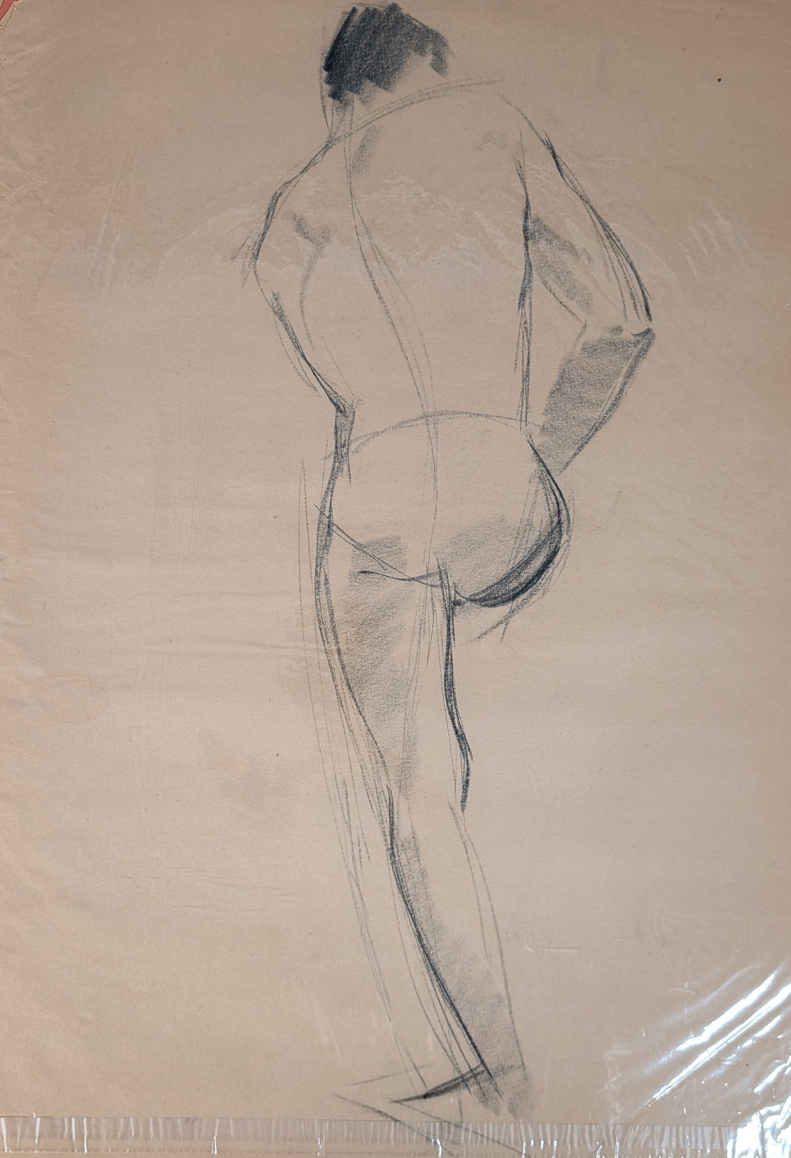 1950 Male Study (1 of 3)