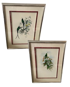 Pair of Bird & Botanical Prints