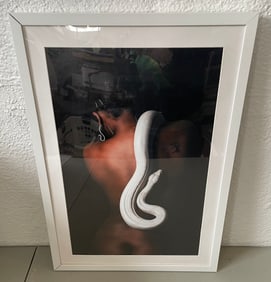 c2021 Framed Photograph by Cranbrook Artist, Tryst Red from the "Skins & Scales" Exhibit at Tom