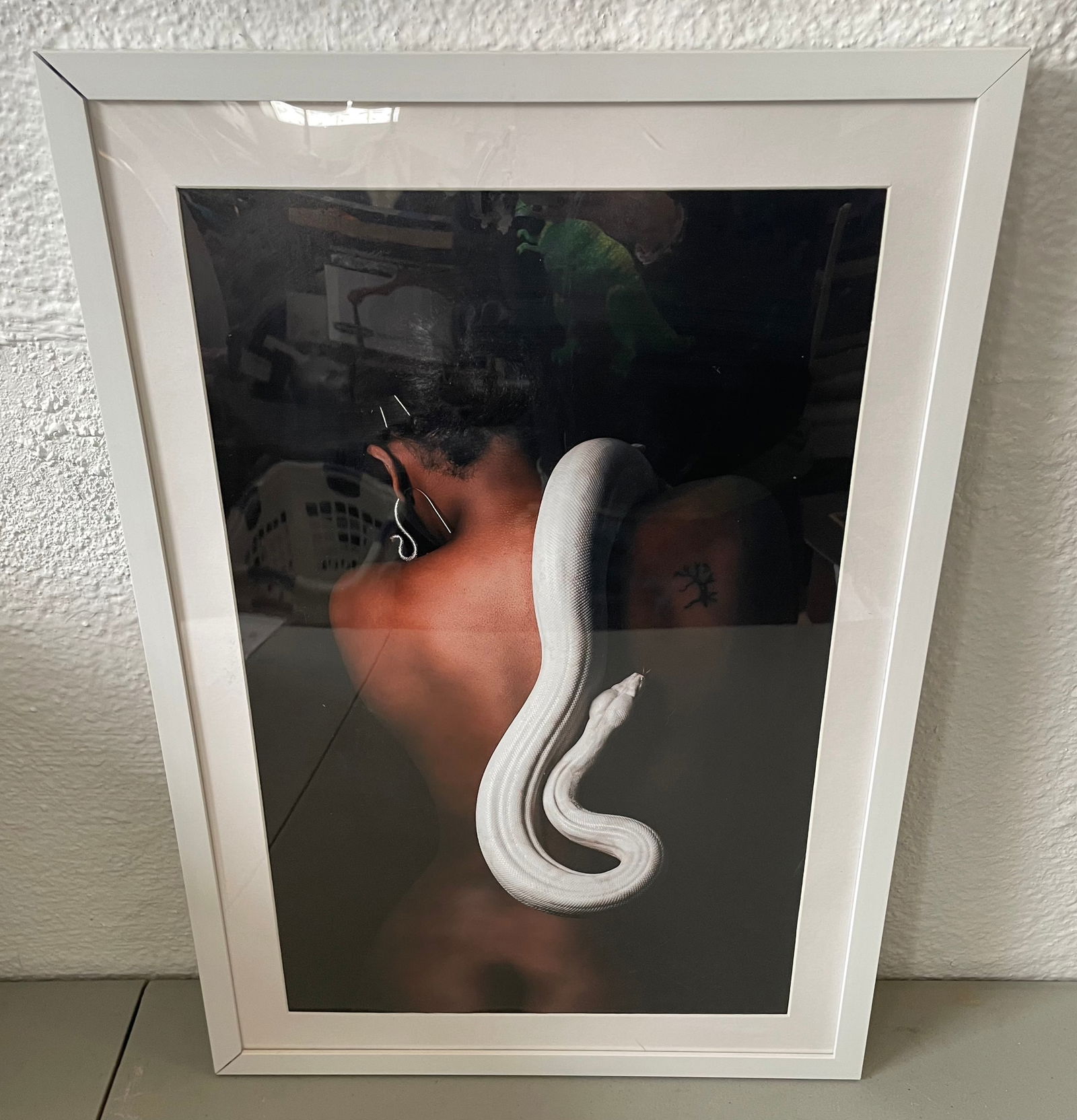 c2021 Framed Photograph by Cranbrook Artist, Tryst Red from the "Skins & Scales" Exhibit at Tom (1 of 7)