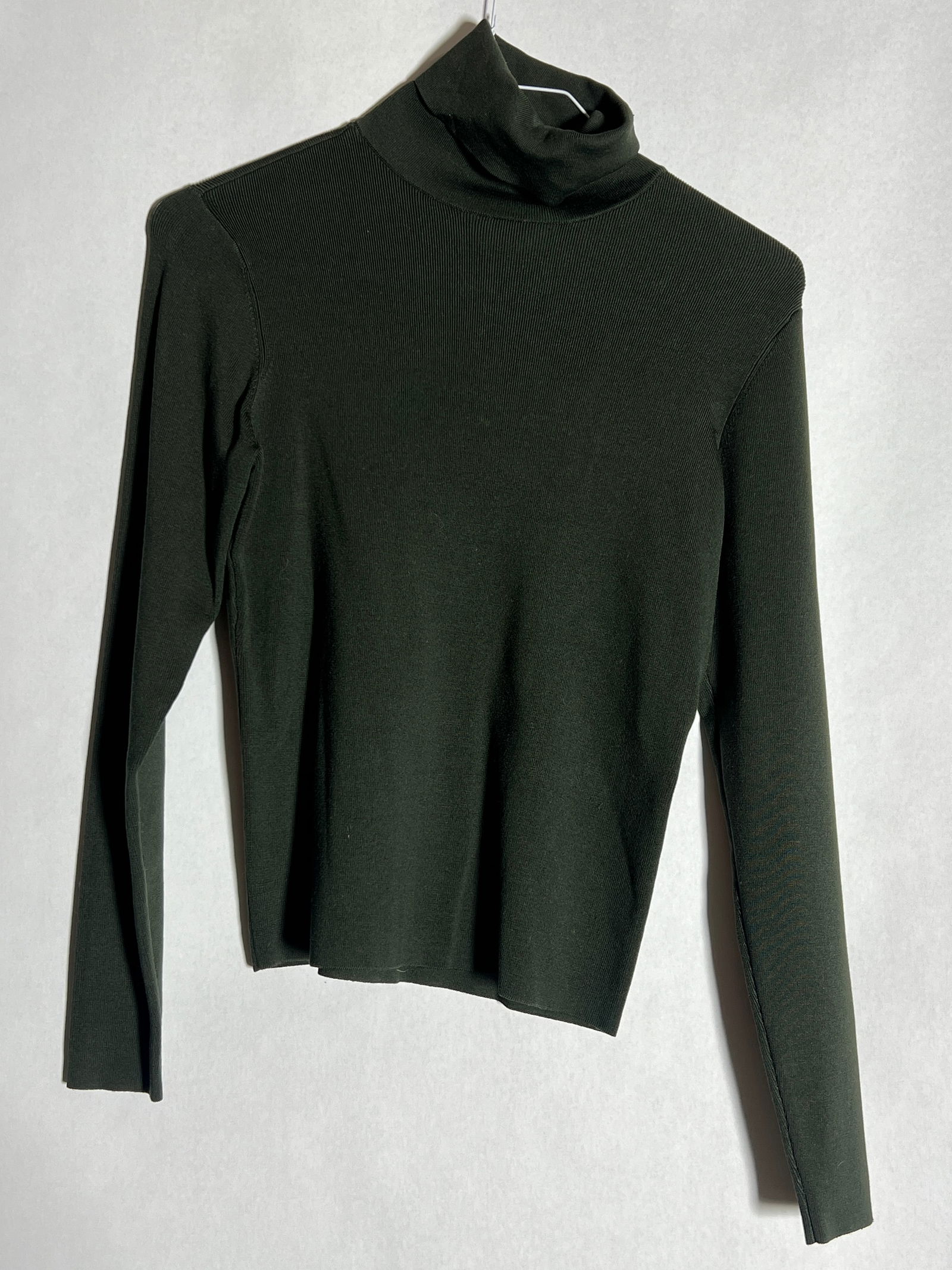 Sz P Carlisle Silk Blend Turtleneck (1 of 3)