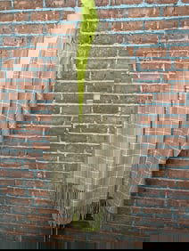 Ralph Lauren Collection Purple Label 100% Cashmere Shawl