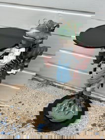 Whimsical Frog Butler Tray Table Occaisional Table